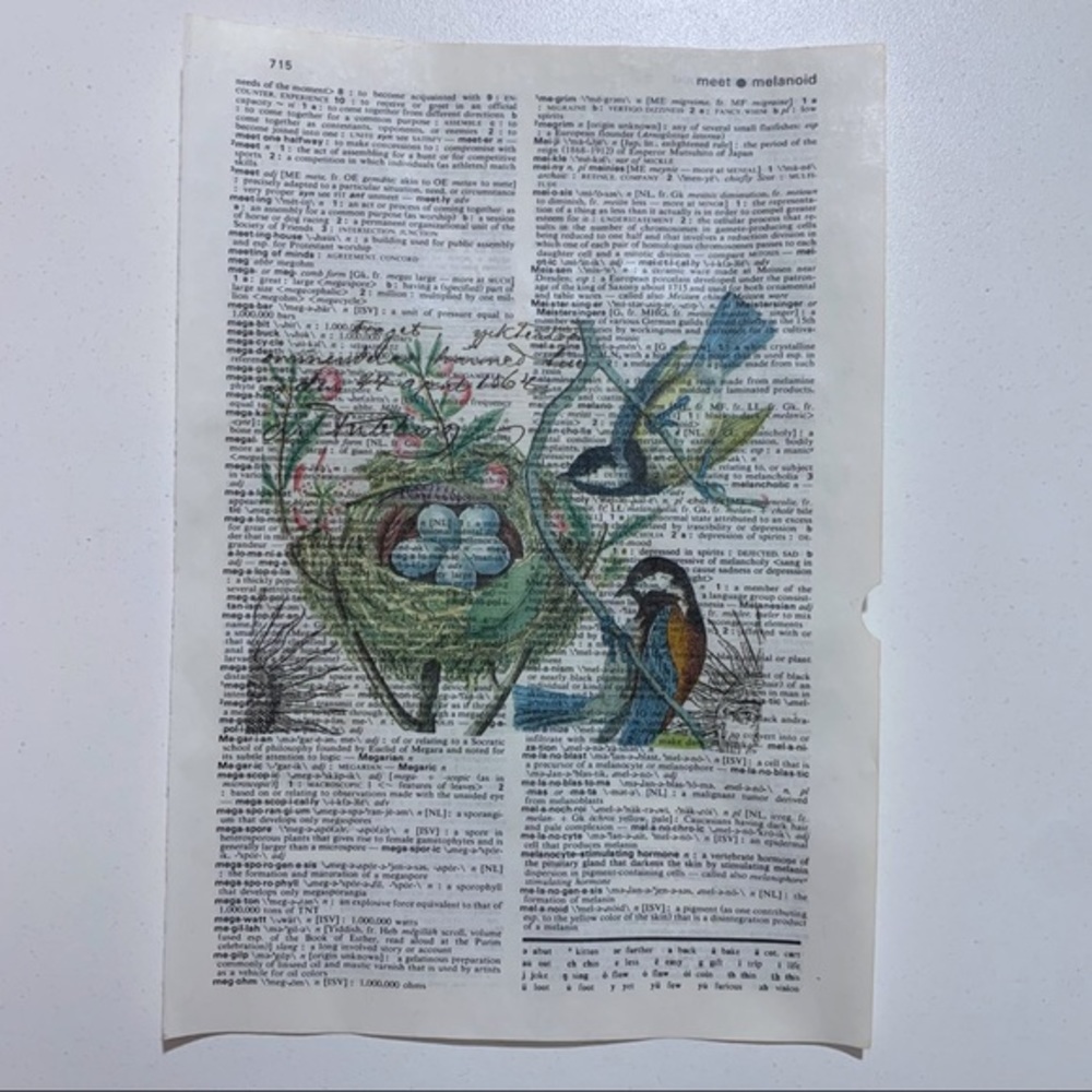 Bird and Nest Dictionary Art Print, Vintage Dictionary Art Print - Picture 3 of 3